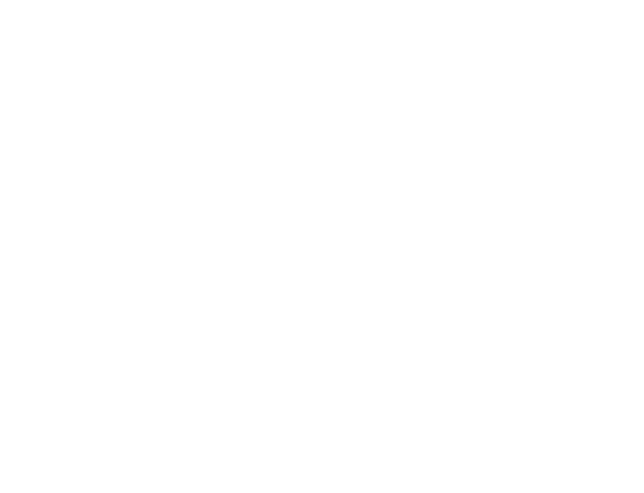 BIT_Foundation_Logo_White