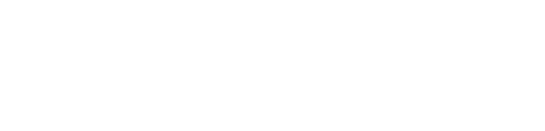 HYFIN Logo_White